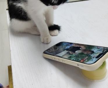 现在哪些软件刷视频可以赚钱?目前可以刷视频赚钱的软件都有哪些?配图 现在哪些软件刷视频可以赚钱?目前可以刷视频赚钱的软件都有哪些?配图